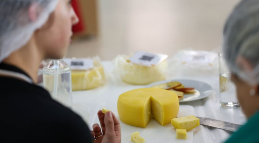 Segunda edição do Prêmio Queijos do Paraná abre inscrições em setembro