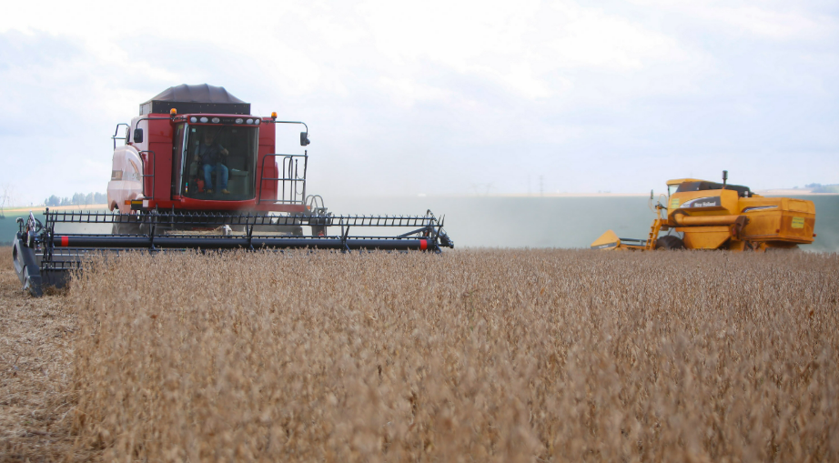Paraná projeta aumento de 4% na produção de soja
