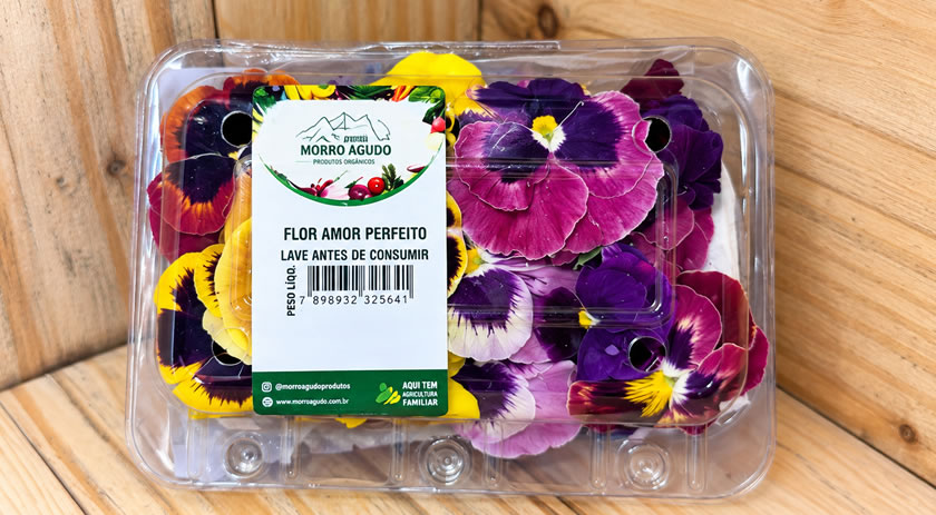 Brasil que floresce além do agronegócio tradicional