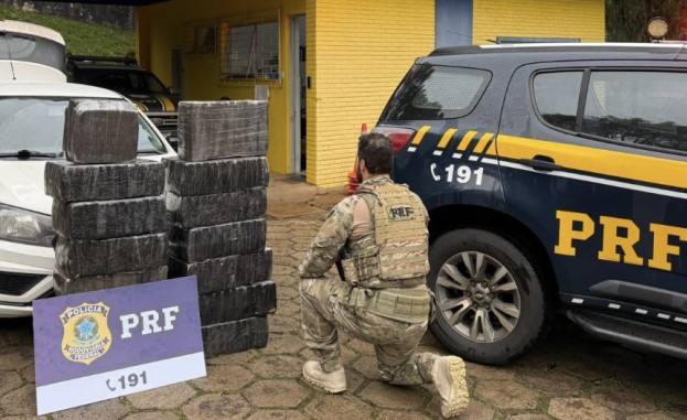 PRF apreende quase 300 quilos de maconha e prende motorista na BR-282