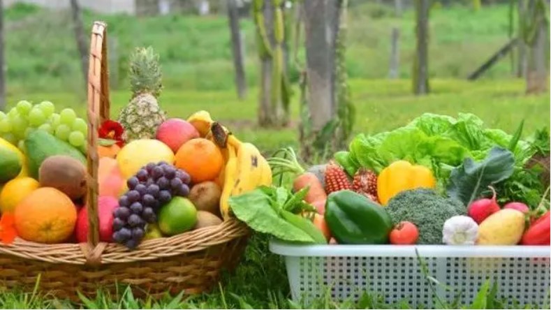 Santa Catarina lidera em Segurança Alimentar, aponta pesquisa