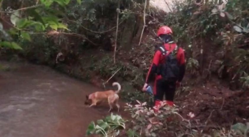 Corpo de bebê levado pela correnteza em Pato Branco é encontrado