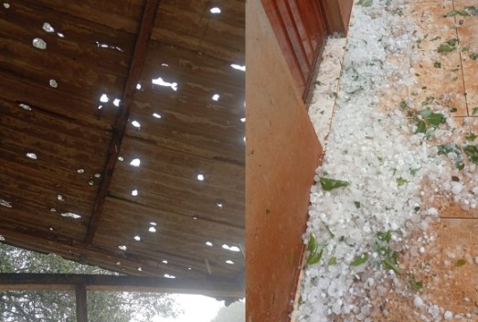 Ponte Serrada, Faxinal dos Guedes, Vargeão e São Domingos têm danos após granizo