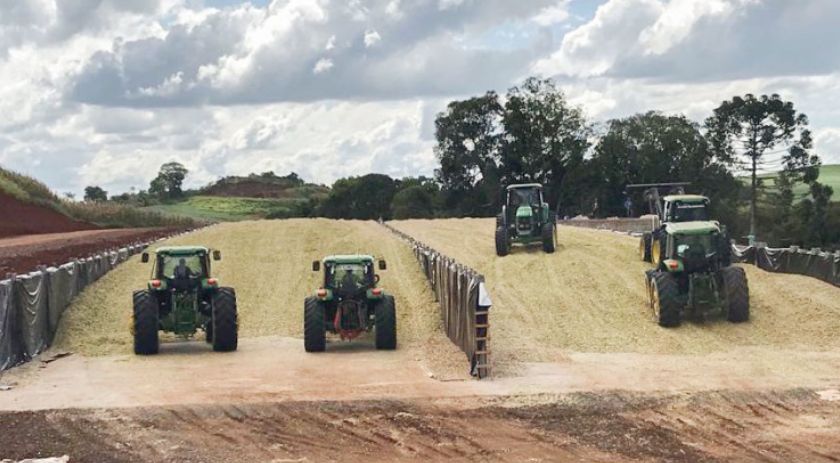 IDR promove 5° Torneio de Silagem na região Sudoeste em dezembro