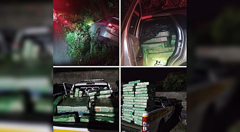 PMRv apreende mais de 700 quilos de maconha
