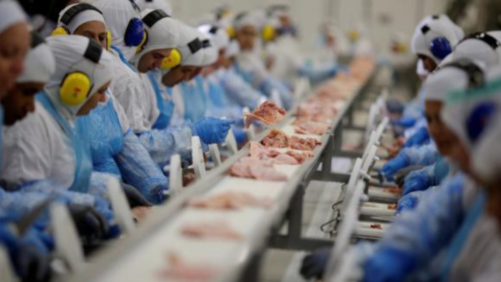 Carne tem maior queda de preço em cinco anos, e consumo aumenta