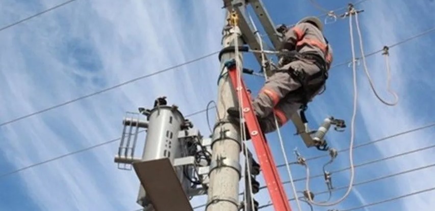 Pássaro causa curto-circuito e deixa mais de 350 imóveis sem luz