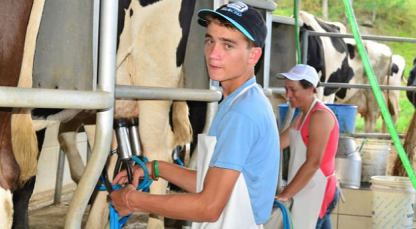 Curso para jovens impulsiona a produção de leite à base de pasto no Oeste Catarinense