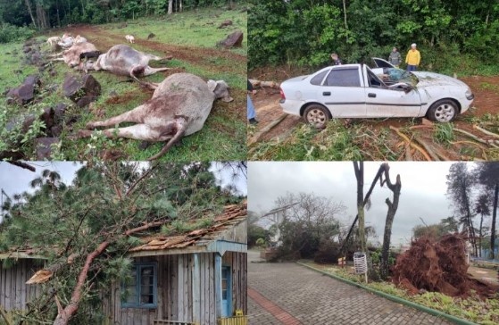 Três municípios de SC decretam situação de emergência após ciclone devastar Oeste