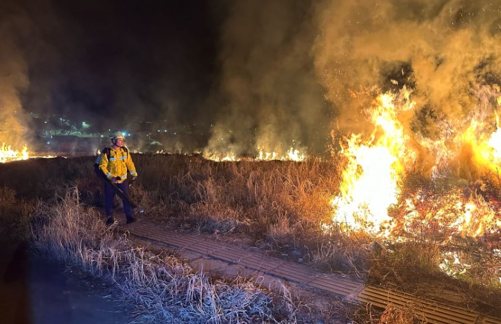 Bombeiros atendem incêndio de grandes proporções em vegetação