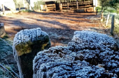 Município registra temperaturas negativas e geada