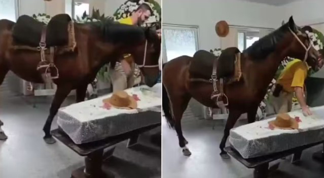 Égua que relinchou ao ver tutor em caixão foi levada ao velório a pedido da filha dele em SC: 'Muito emocionante'
