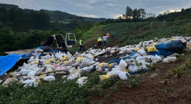 Caminhão sai da pista, tomba e motorista fica ferido no Oeste de SC