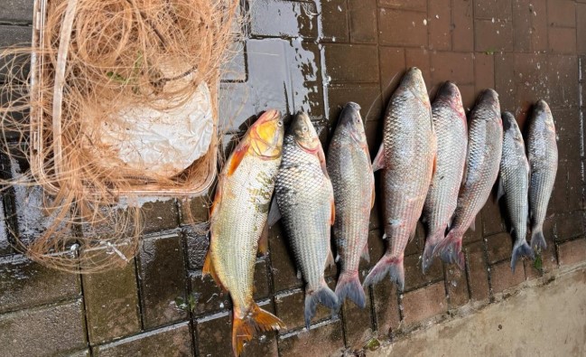 Homem é preso por pesca ilegal após fugir da polícia e se esconder em mata no rio Uruguai