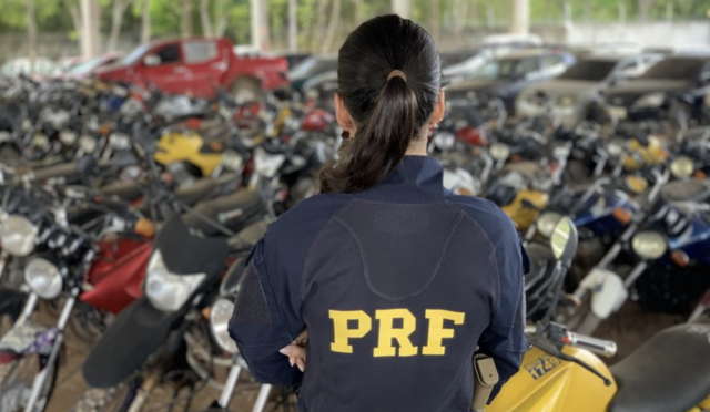 PRF promove leilão de mais de 2 mil veículos apreendidos ou abandonados em rodovias federais de SC