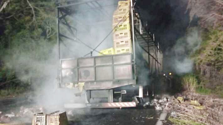 Caminhão carregado com frangos pega fogo na BR-280