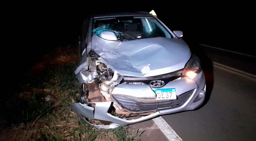 Duas pessoas ficam feridas após acidente de trânsito envolvendo carro e animal