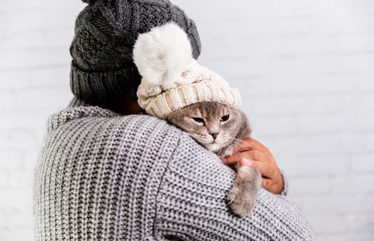 Confira dicas para saber como cuidar do seu animal de estimação no frio