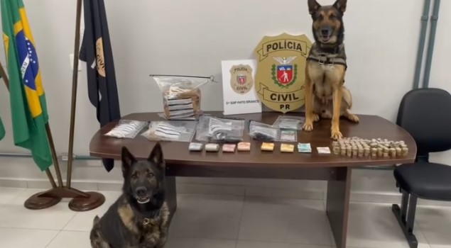 Polícia apreende drogas e armas durante mandados de busca em investigação que apura homicídio