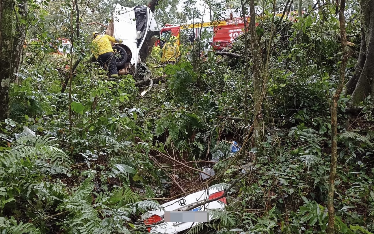 Jovem morre após veículo sair da pista e colidir em árvore na BR-282