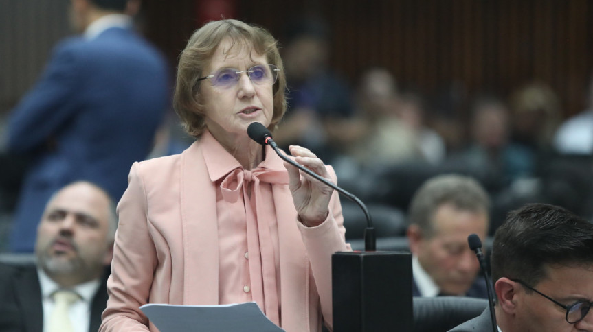 Deputada Luciana Rafagnin (PT) solicita ao DNIT redutores de velocidade e duplicação entre Barracão e Santo Antonio do Sudoeste