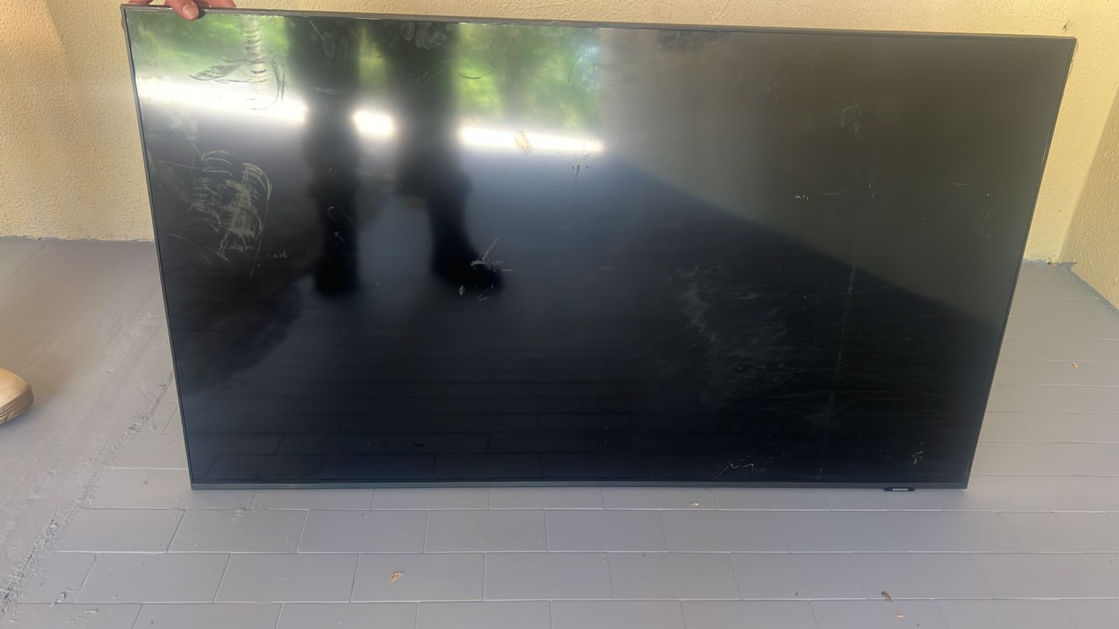 Televisão de 50 polegadas é encontrada escondida em arbusto no centro