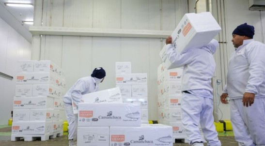 SC lidera geração de empregos e registra menor desemprego do país novamente