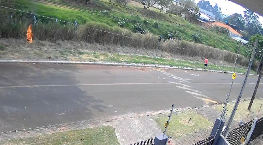 Homem é preso por crime ambiental ao colocar fogo em vegetação em Cascavel