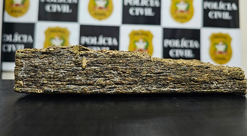 Adolescente é aprendido com drogas no Oeste de SC