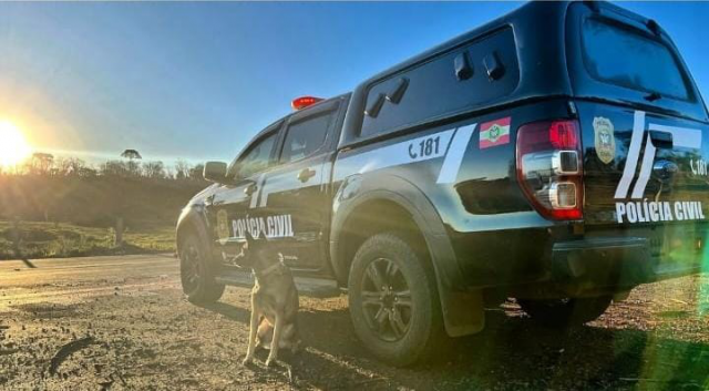 Em 2024, Coordenadoria de Operações com Cães da PCSC participou de 374 operações policiais em todo o estado