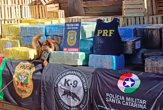 Motorista de 29 anos é preso com quase duas toneladas de maconha em carreta