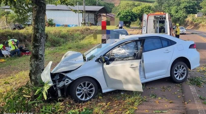 Duas pessoas ficam feridas após carro sair da pista e colidir contra árvore