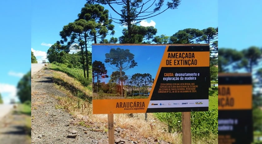 BR-163/SC ganha placas educativas sobre preservação de espécies ameaçadas de extinção