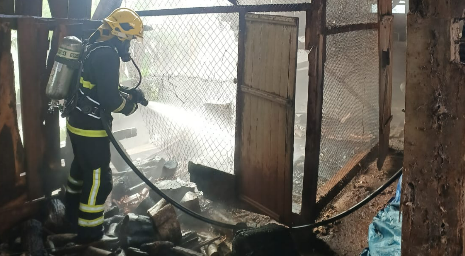 Incêndio atinge galpão agrícola e mata 35 galinhas