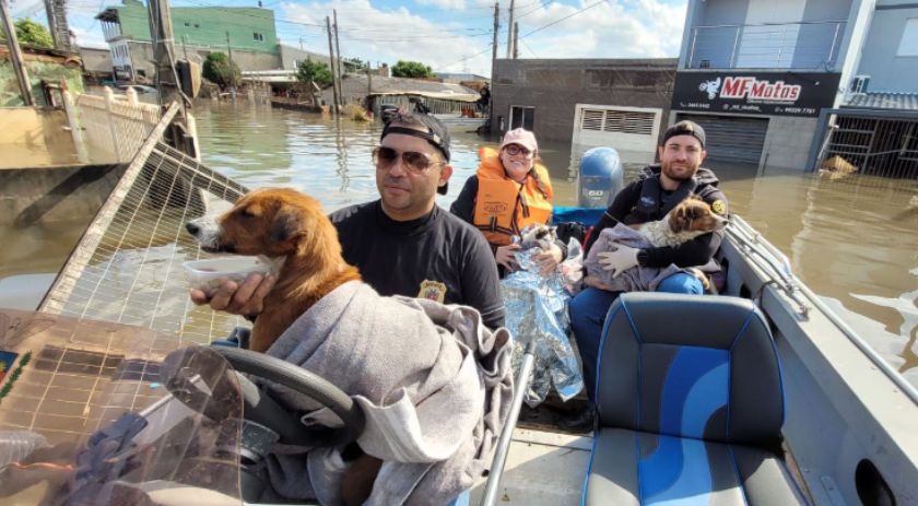 Com atuação em 11 cidades, mutirão do IAT completa dez dias de trabalho no RS
