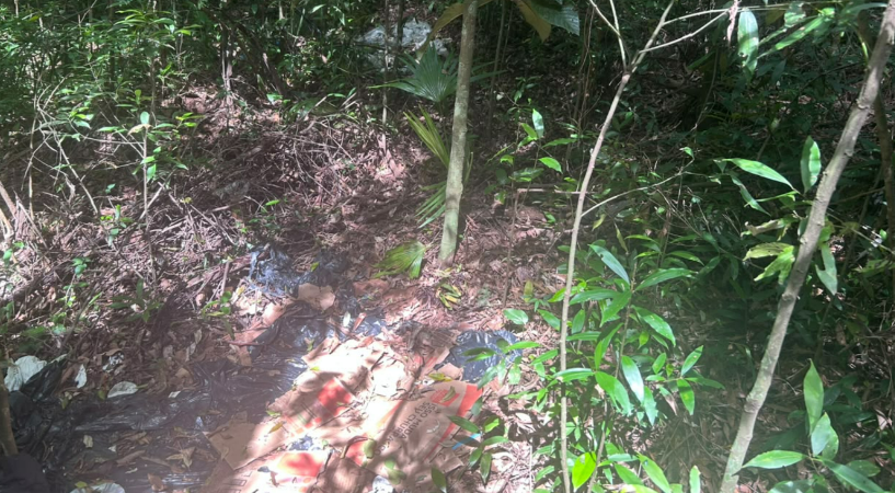 Homem de 73 anos é encontrado morto em área de mata