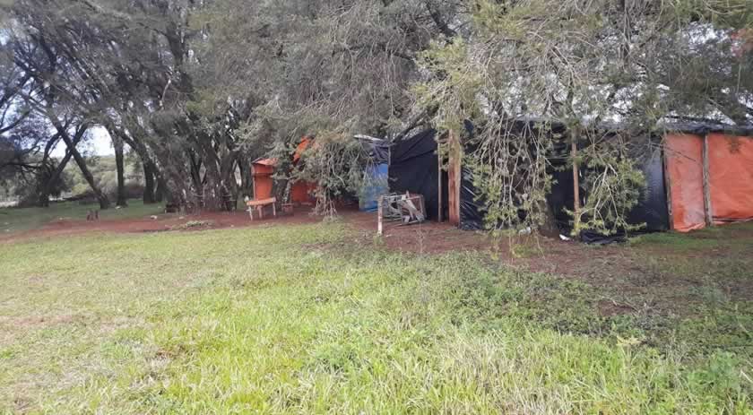 Reintegração de posse derruba cerca de 40 barracos em área de terra no Oeste