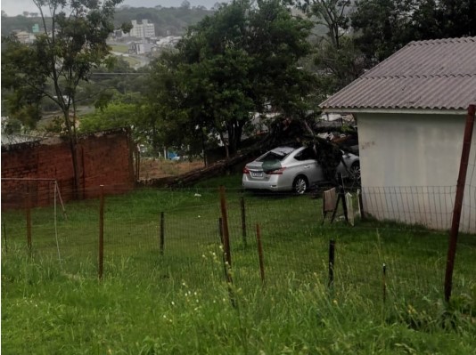 Temporal que atingiu Chapecó teve rajadas de vento de quase 90 km/h, aponta Defesa Civil