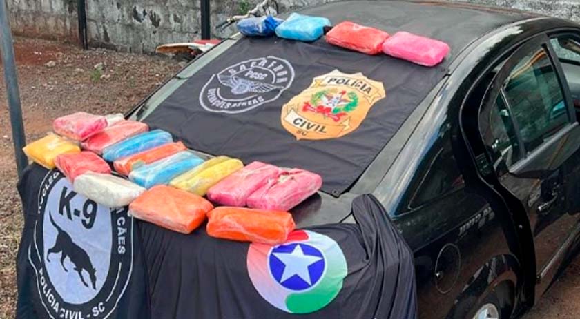 Ação Conjunta das Forças Policiais resulta na apreensão de drogas