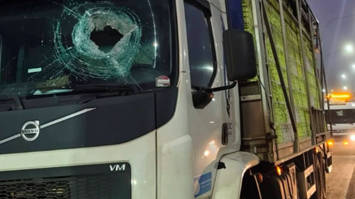 Caminhoneiro morre ao ser atingido por pedra de 12 kg enquanto passava por viaduto