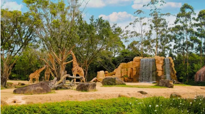 Beto Carrero World anuncia o encerramento do zoo após 32 anos