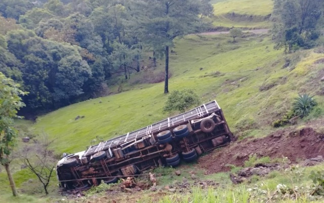 Caminhão carregado de suínos sai da pista e tomba em ribanceira em Concórdia