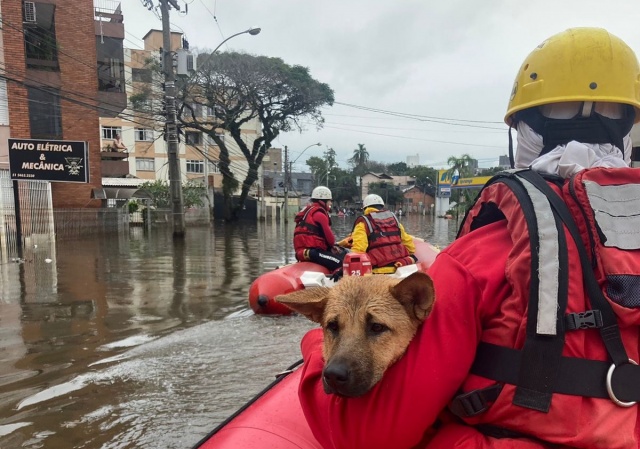 Brasil registrou maior número de desastres naturais em 2023, com 1.161 ocorrências