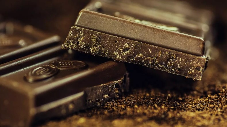 Saiba os benefícios do chocolate e cacau para a saúde