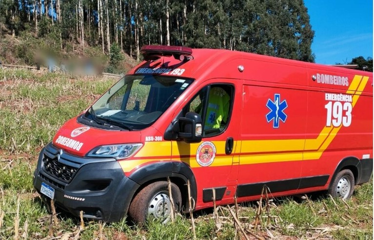 Homem morre após ser atingido por eucalipto em Santa Catarina