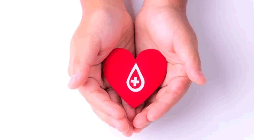 Dia Nacional do Doador de Sangue: HEMOSC celebra a data reforçando a urgência da doação regular em SC