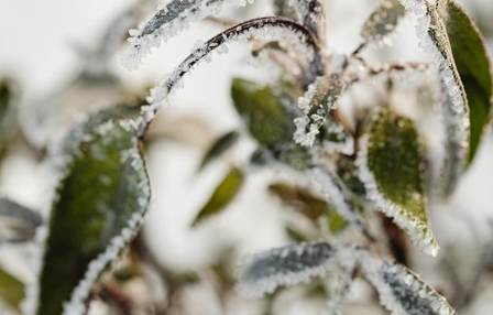 Queda brusca nas temperaturas e frio intenso devem marcar a próxima semana em SC