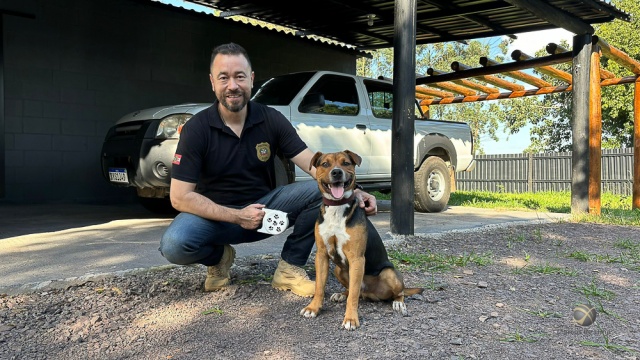 Policial Civil de SMOeste adota cão resgatado de enchente no RS