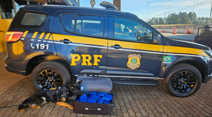 PRF flagra jovem grávida com quase 10 quilos de skunk em Cascavel