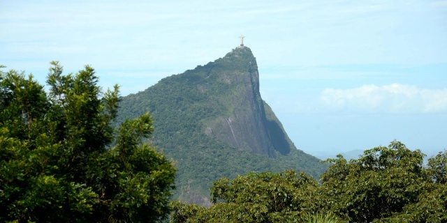 Desmatamento na Mata Atlântica cai 59% no acumulado do ano até agosto, aponta pesquisa